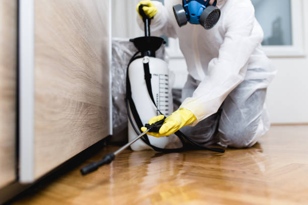 Best Rat Extermination Near Me  in Midvale, UT