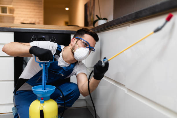 Best Pest Prevention Services  in Midvale, UT
