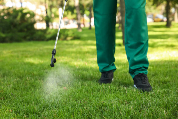 Best Affordable Exterminators  in Midvale, UT