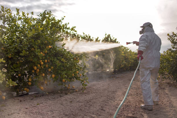 Best Local Pest Control Services  in Midvale, UT