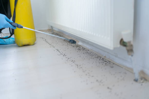 Best Pest Removal Services  in Midvale, UT